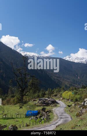 Weg nach Lachung Dorf in der Nähe von Yumthang Tal, Sikkim, Indien Stockfoto
