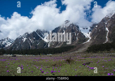 Die schneebedeckten Berge an Yumthang Tal, Sikkim, Indien Stockfoto