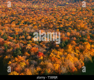 USA, Michigan, Porcupine Mountains Wilderness State Park, Herbst farbige nördlichen Laubwald. Stockfoto