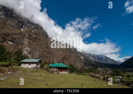 Wald Rest House in Yumthang Tal, Lachung, Sikkim, Indien. Stockfoto