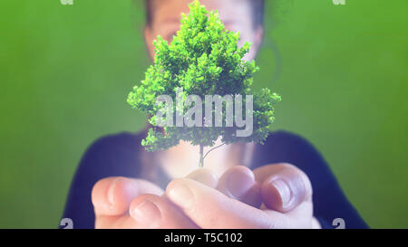 Junges Mädchen mit Zöpfen, wirft einen kleinen Baum in der Hand, ideal Filmmaterial für Themen wie Umwelt und Ökologie Stockfoto