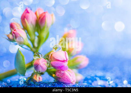 Kleine rosa Knospen in Form einer Strauß auf ein silber-blauen Hintergrund mit einem schönen Bokeh. Sehr helle Foto in warmen Farben. Kopieren Sie Platz. Stockfoto