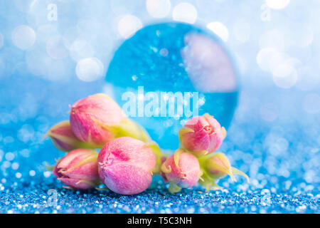 Kleine rosa Knospen in Form einer Strauß auf ein silber-blauen Hintergrund mit einem schönen Bokeh. Sehr helle Foto in warmen Farben. Kopieren Sie Platz. Stockfoto