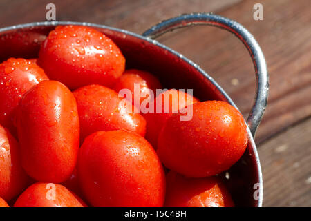 Frisch gepflückt und Tomaten in einer collander in der Sonne gewaschen. Stockfoto