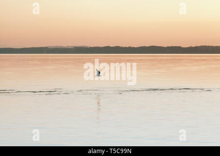 Sonnenuntergang in Chiemsee mit orange Farben und eine Möwe über das Wasser fliegen Stockfoto