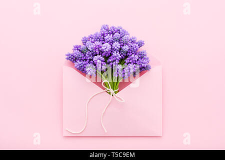 Feder violett Blumen in einem rosafarbenen Umschlag für Muttertag flach Stockfoto