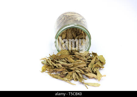 Getrocknete Stevia (Stevia Rebaudiana Bertoni) Blätter aus einem Glas auf weißem Hintergrund. Hochauflösende Bilder Galerie. Stockfoto