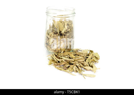 Getrocknete Stevia (Stevia Rebaudiana Bertoni) Blätter aus einem Glas auf weißem Hintergrund. Hochauflösende Bilder Galerie. Stockfoto