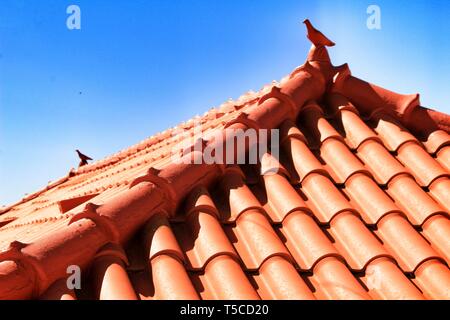 Dach in Azenhas do Mar Haus mit wunderschönen Keramik Taube auf der Oberseite Stockfoto