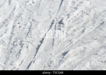 Der frühe Frühling Schnee Textur hautnah. Abstrakte natürlichen Hintergrund Stockfoto