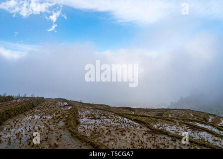 Schwarze Hmong Dorf und Terrasse Reisfelder im Winter auf nebligen und verregneten Tag in Muong Hoa Tal in Sapa, Vietnam. Stockfoto