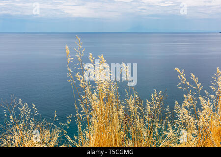 Gelbe trockenes Gras auf blaues Meer und bewölkter Himmel Hintergrund. Blick vom Hügel Stockfoto