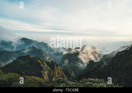Berge von Wolken umgeben. Die grüne Bergspitzen im weißen Wolken. Nebligen Morgen in den Bergen. Stockfoto
