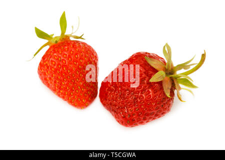 Zwei Erdbeeren hautnah auf weißem Hintergrund Stockfoto