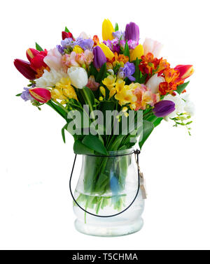 Frische Tulpen Blumen Stockfoto