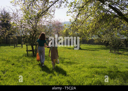 Junge Mädchen auf Ostereiersuche im Obstgarten in der Nähe von Llangollen in Denbighshire in Wales Stockfoto