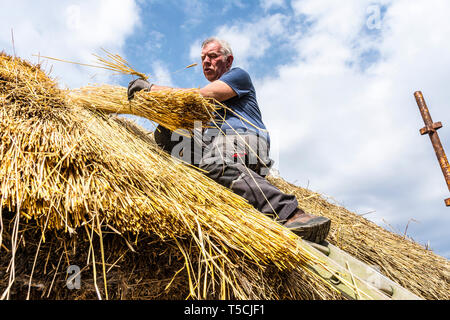 Glengesh Pass, Ardara, County Donegal, Irland. 23. April 2019. Master Thatcher, Hugh Gallagher arbeiten an einer traditionellen strohgedeckten Hütte, einem sterbenden Handwerk in Irland. Credit: Richard Wayman/Alamy leben Nachrichten Stockfoto