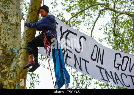 London, Großbritannien. 22 Apr, 2019. Ein Aktivist klettert einen Baum an Parliament Square während der 'London: Internationale Rebellion', am Tag neun der Protest vom Aussterben Rebellion organisiert. Die Demonstranten fordern die Regierungen Maßnahmen gegen den Klimawandel ergreifen. Die Polizei hat einen Abschnitt 14 Um den Parliament Square ausgestellt und erwarten, dass die Besetzung des Platzes am Ende des Tages wird geschlossen haben. Credit: Stephen Chung/Alamy leben Nachrichten Stockfoto