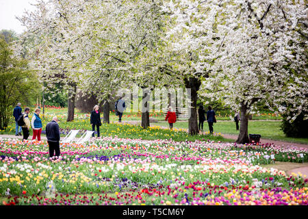 Berlin, Deutschland. 23 Apr, 2019. Wanderer können im blühenden Britzer Garten gesehen werden. Credit: Christoph Soeder/dpa/Alamy leben Nachrichten Stockfoto