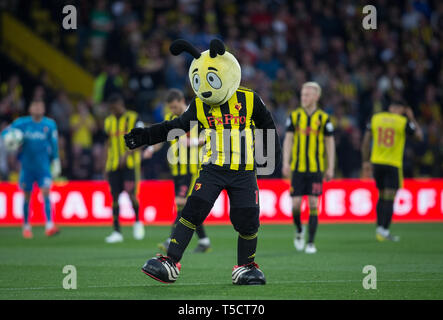 Watford, UK. 23 Apr, 2019. Harry Hornissen (Watford Maskottchen) während der Premier League Match zwischen Watford und Southampton an der Vicarage Road, Watford, England am 23. April 2019. Foto von Andy Rowland. Nur die redaktionelle Nutzung, eine Lizenz für die gewerbliche Nutzung erforderlich. Keine Verwendung in Wetten, Spiele oder einer einzelnen Verein/Liga/player Publikationen. Õ Credit: PRiME Media Images/Alamy leben Nachrichten Stockfoto