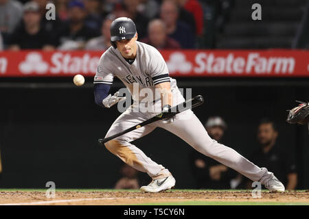 Anaheim, Kalifornien, USA. 23. Apr 2019. New York Yankees shortstop Tyler Wade (14) Augen seiner erfolgreichen bunt während des Spiels zwischen den New York Yankees und die Los Angeles Engel von Anaheim im Angel Stadium in Anaheim, CA, (Foto von Peter Joneleit, Cal Sport Media) Credit: Cal Sport Media/Alamy leben Nachrichten Stockfoto