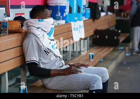 Anaheim, Kalifornien, USA. 23. Apr 2019. New York Yankees Entlastung Krug Domingo Deutschen (55) Häute von Fotografen vor dem Spiel zwischen den New York Yankees und die Los Angeles Engel von Anaheim im Angel Stadium in Anaheim, CA, (Foto von Peter Joneleit, Cal Sport Media) Credit: Cal Sport Media/Alamy leben Nachrichten Stockfoto