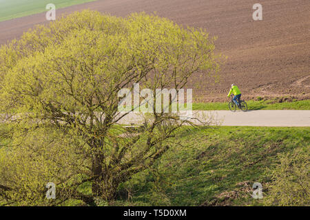 06 April 2019, Nordrhein-Westfalen, Höxter: ein Radfahrer fährt auf dem Weserradweg. Foto: Moritz Frankenberg/dpa Stockfoto