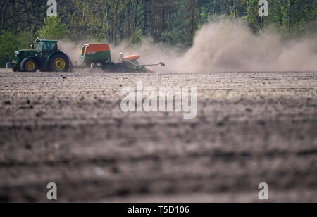 Heidenheim an der Brenz, Deutschland. 24 Apr, 2019. Ein Landwirt Laufwerke in einem trockenen Bereich mit einer Sämaschine am Traktor und zieht eine Staubwolke hinter sich. Credit: Monika Skolimowska/dpa-Zentralbild/dpa/Alamy leben Nachrichten Stockfoto