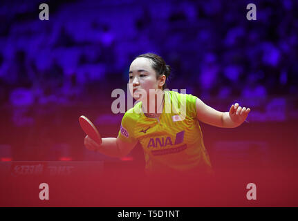 Budapest. 24 Apr, 2019. Ito Mima von Japan konkurriert während singles Runde der Frauen von 32 Match zwischen Sun Yingsha von China und Ito Mima Japans in 2019 ITTF World Tischtennis-WM in Budapest, Ungarn am 24. April 2019. Credit: Lu Yang/Xinhua/Alamy leben Nachrichten Stockfoto