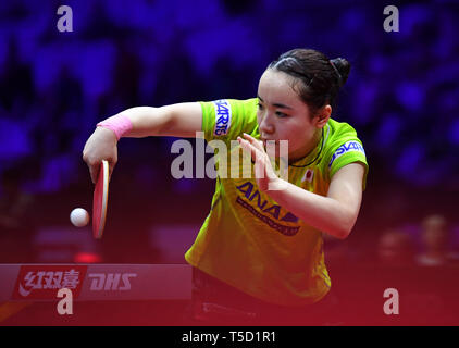Budapest. 24 Apr, 2019. Ito Mima von Japan konkurriert während singles Runde der Frauen von 32 Match zwischen Sun Yingsha von China und Ito Mima Japans in 2019 ITTF World Tischtennis-WM in Budapest, Ungarn am 24. April 2019. Credit: Lu Yang/Xinhua/Alamy leben Nachrichten Stockfoto