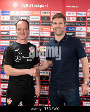 Stuttgart, Deutschland. 24 Apr, 2019. Fussball: Bundesliga, Pk VfB Stuttgart. Trainer Nico Willig (l) und Sportdirektor Thomas Hitzlsperger an der Pressekonferenz nehmen. Credit: Marijan Murat/dpa/Alamy leben Nachrichten Stockfoto