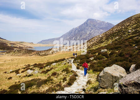 Menschen zu Fuß auf den Weg um Llyn Idwal See in im Cwm Idwal Tal in Snowdonia National Park. Ogwen, Conwy, Wales, Großbritannien, Großbritannien Stockfoto