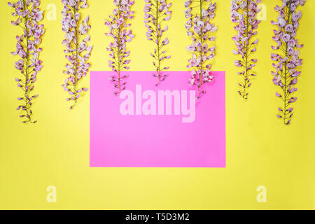 Schönen Lila Rosa wisteria Blume Zweig mit Knospen und Blüten rosa Papier Karte Hinweis auf gelben Hintergrund. Stockfoto