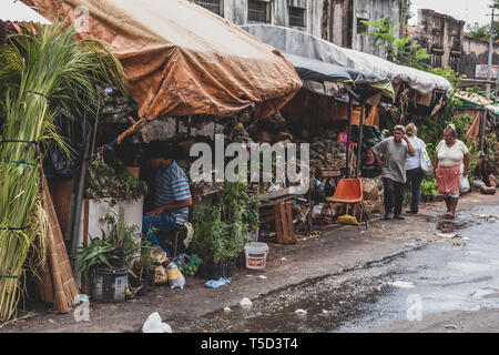 Street Hersteller Chorgestühl aus Heilpflanzen " yuyos" improvisierte auf den Bürgersteigen rund um Mercado (Markt) 4, traditionelle Markt in Asuncion, Paraguay Stockfoto