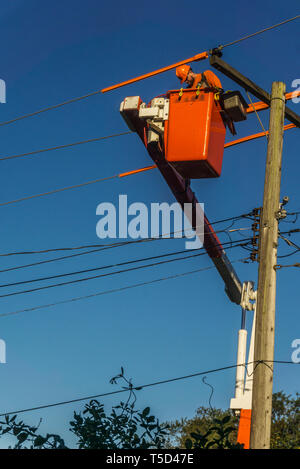 Power Störungssucher Arbeiten an elektrischen Pole Stockfoto