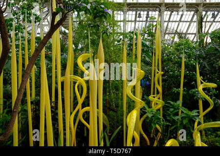 Glasskulpturen von Dale Chihuly in Kew Gardens, London Stockfoto