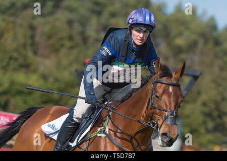 Burnham Market International Horse Trials, Burnham Market, Norfolk, England, 13. April 2019. Zara Tindall und ihrem Pferd Watkins an die Cro-nehmen Stockfoto