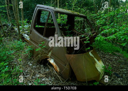 Abgebrochene Ford Transit Lkw rosten in den Wald. Stockfoto