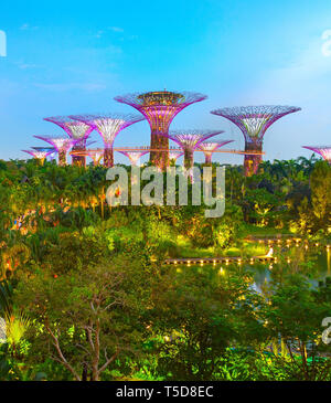 Singapur - Januar 15, 2017: berühmten Botanischen Gärten durch die Bucht am Abend beleuchtet, Luftaufnahme Stockfoto