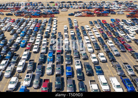 Detroit, Michigan - Lkw und Autos von Fiat Chrysler warten auf Transport zum Händler bei gebaut Cassens's Transport Connor Hof. Der Hof ist neben F Stockfoto