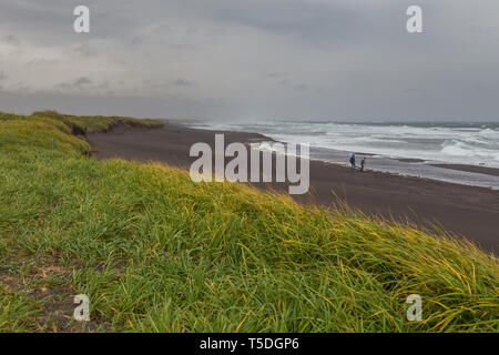 Ansicht der winkte Wellen des Avachinskaya Bucht, Avacha Bucht und vulkanischen Stränden. Hohes Gras wachsen auf Dünen. Kamtschatka, Russland. Stockfoto