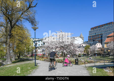 Waterfront Park Strömparken entlang Fluss Motala im Frühjahr in Norrköping. Norrköping ist eine historische Stadt in Schweden Stockfoto