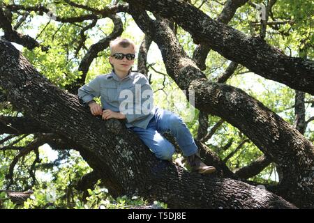 Glückliche Junge sitzt auf einem Ast eines alten live oak tree Stockfoto