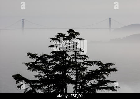 Von der East Bay die Golden Gate Brücke verbindet die Stadt San Francisco mit den Marin Headlands gesehen. Stockfoto