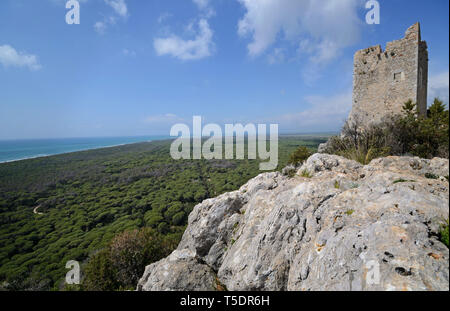 Malerischer Blick auf alten Aussichtsturm auf dem Hügel mit Blick auf die toskanische Maremma Land, in der Nähe der Küste, mit seinen großen Pinienwald Stockfoto