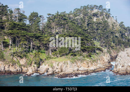 Die kalte, nährstoffreiche Wasser des Pazifischen Ozeans waschen in der wunderschönen, felsigen kalifornischen Küste südlich von Monterey Bay. Stockfoto