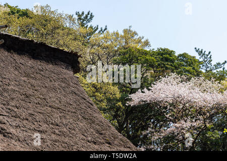 Ehemalige Yanohara Wohnsitz der Familie, Sankeien Garten, Naka-Ku, Yokohama City, Präfektur Kanagawa, Japan Stockfoto
