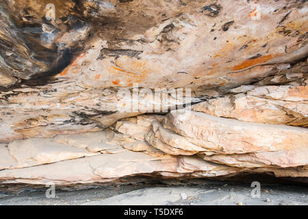 Gulgurn Manja Tierheim Stockfoto