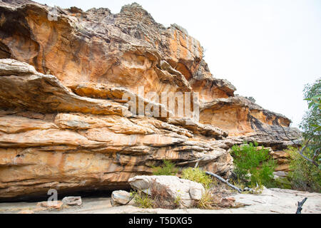 Gulgurn Manja Tierheim Stockfoto