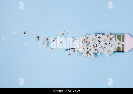 Kreative Anordnung. Pinsel mit Blüten auf blauem Hintergrund. Minimal Art Konzept. Flach, Ansicht von oben, kopieren Raum Stockfoto